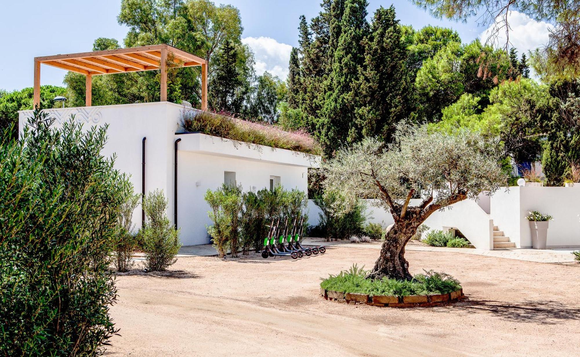 Noha Lifestyle - Adults Only 4* Pula